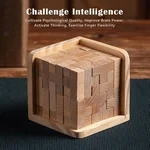 Wooden Intelligence Toy Brain Teaser Game