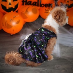 Angel Wings Pet Costume Halloween Dog Clothes