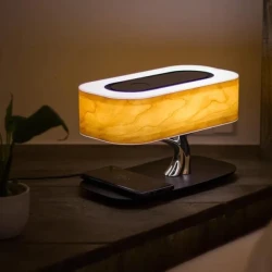 Light Of Life Lamp