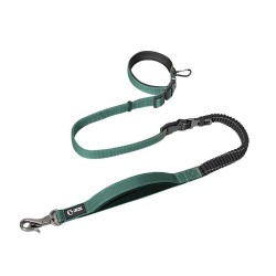 Roamer™ Bungee Dog Leash Stretch Webbing Hands-Free Leash