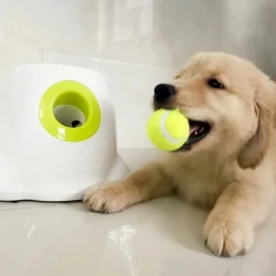 Dog Automatic Ball Launcher