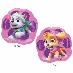 Shape Paw Patrol Girls Characters