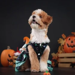 Dog Clothes Halloween Cute Double-layer Pet Skirt