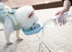 Teddy portable drinking water bottle