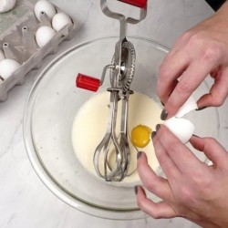 Egg Beater