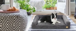 Extra Large Plus Size Dog Sofa Bed