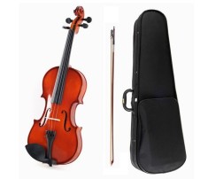 Violin Acoustic Solid Wood 1