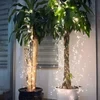 Firefly Bunch Lights(3M/120 INCHES)