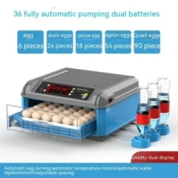 Incubator Household Automatic Rutin Chicken Chicken Incubation