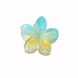 Pastel Gradient Plumeria Hair Claw