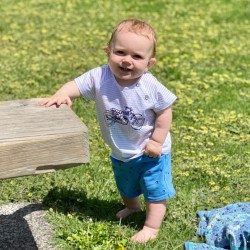 Whale Blue Shorts | 2-3y