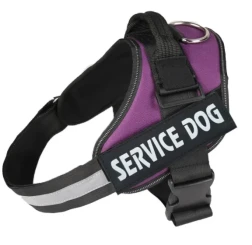 Personalized Dog Harness Reflective Breathable Adjustable