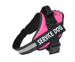 Personalized Dog Harness Reflective Breathable Adjustable