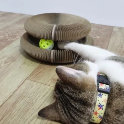 Cat Scratching Board Foldable