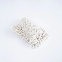 Hand-woven Tassel Pillow