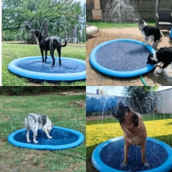 AquaPaws™ SplashPad