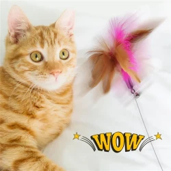 Aiitle Cat Self Interactive Collar Toy