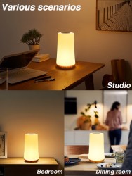 LED Night Light - 13 Color Changing RGB Table Lamp with Remote Control and Touch, Rechargeable Dimmable Bedside Light