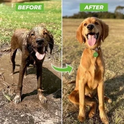 Multi-mode Dog Bath Foaming Water Gun