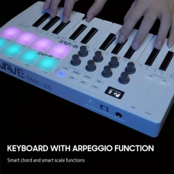 25-Key MIDI Control Keyboard Mini Portable USB Keyboard MIDI Controller with 25 Velocity Sensitive Keys 8 RGB Backlit Pads 8 Knobs Eid Al-Adha Mubarak