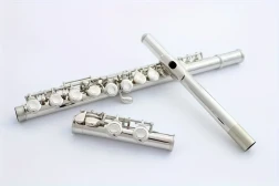 Xinmel Professional C-Tone Flute With 16 Closed Holes, Nickel Plated - Includes Case & Maintenance Kit For Stage Performances