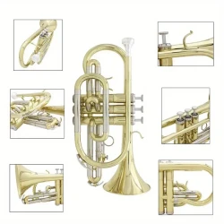 Slade Lds826 Brass B-Flat Cornet - Compact Mini Trumpet For Beginners, Includes Protective Case, White Gloves & Cleaning Kit Trumpet Accessories