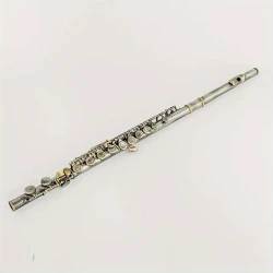 KALUOLIN Soprano C Key Flute, 16 Closed Hole, E Mechanism, Brushed Copper Surface, Professional Flute with Leather Case