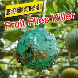 Hanging Environmental Fruit Fly Traps Sticky Traps