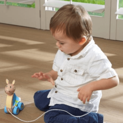 Peter Rabbit Pull Along Toy