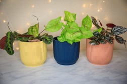 Elho Vibes Planter