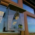 Arch Window Bird Feeder